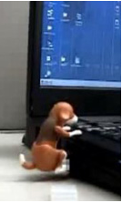 Product of the Day: Humping Dog USB Key